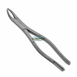 2 Extraction Forceps