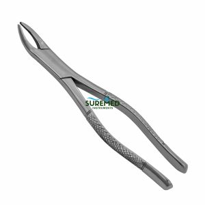 2 Extraction Forceps