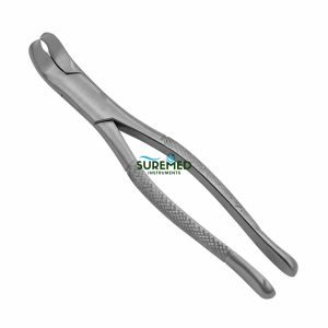 5 Universal Extraction Forceps