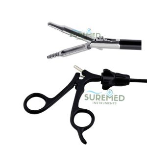 dolphin nose grasper