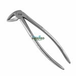 33 English Pattern Extraction Forceps