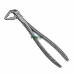 36 Apical Extraction Forceps