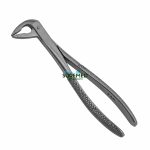 36 Extraction Forceps, Notched Beak