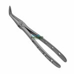 46L English Pattern Extraction Forceps