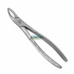 586 English Pattern Extraction Forceps