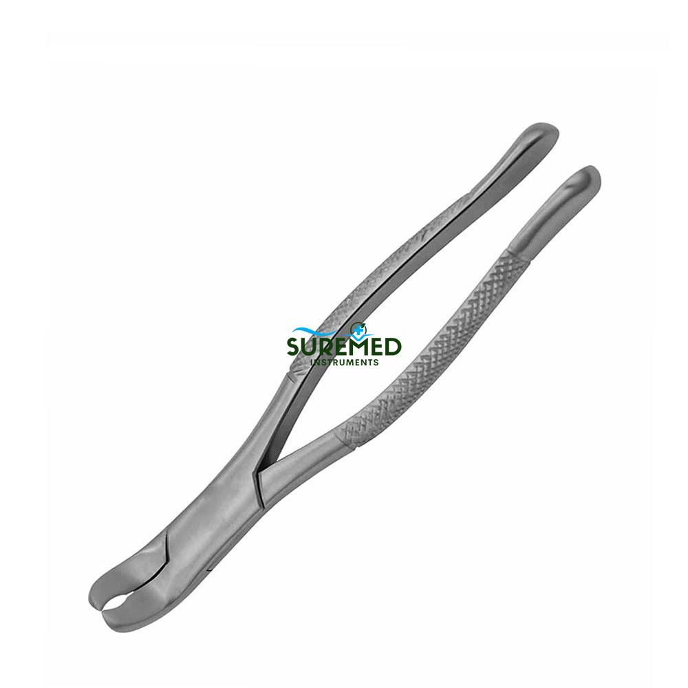 Extraction Forceps #6 Extraction Forceps #6