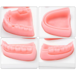 Suture Training Kit - Image 3