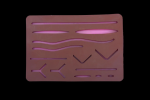 Suture Practice Kit - Image 4