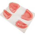 suture practice kit for medical students - Image 5